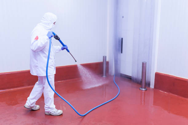Paint Preparation in Chalfant, CA