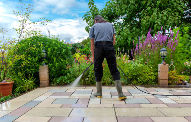 Best Driveway Pressure Washing  in Chalfant, CA